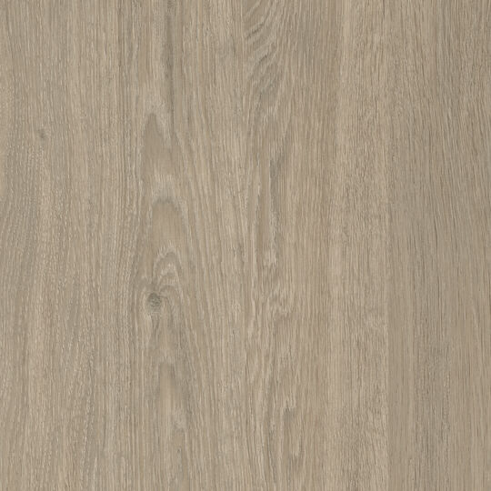 Klebefolie Santana Oak kalk image number null